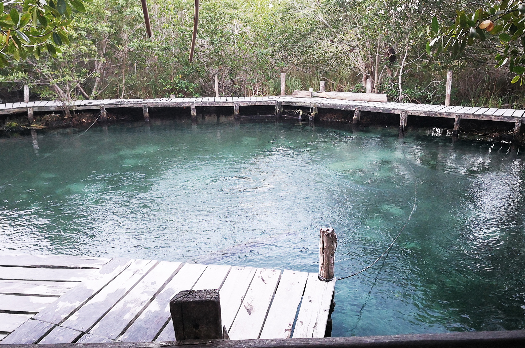 Ou aller au Mexique : Holbox, Yalahau