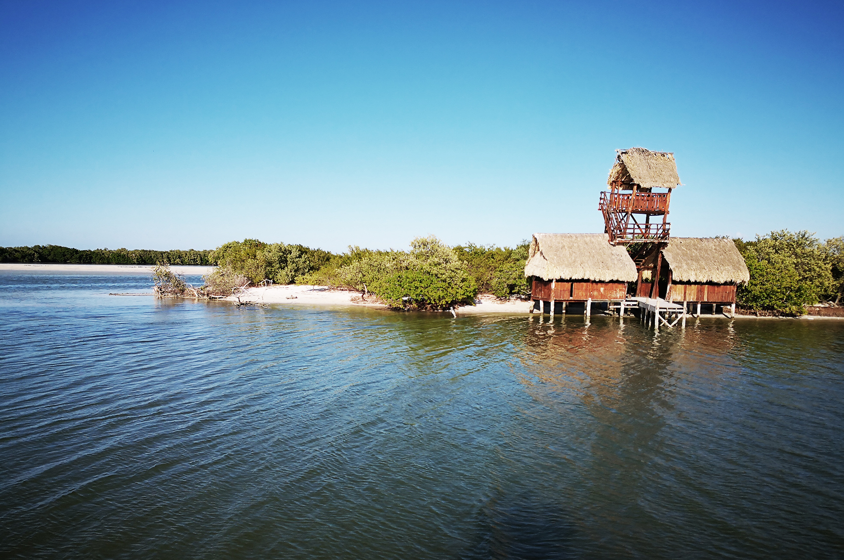 Ou aller au Mexique : Isla de la pasion