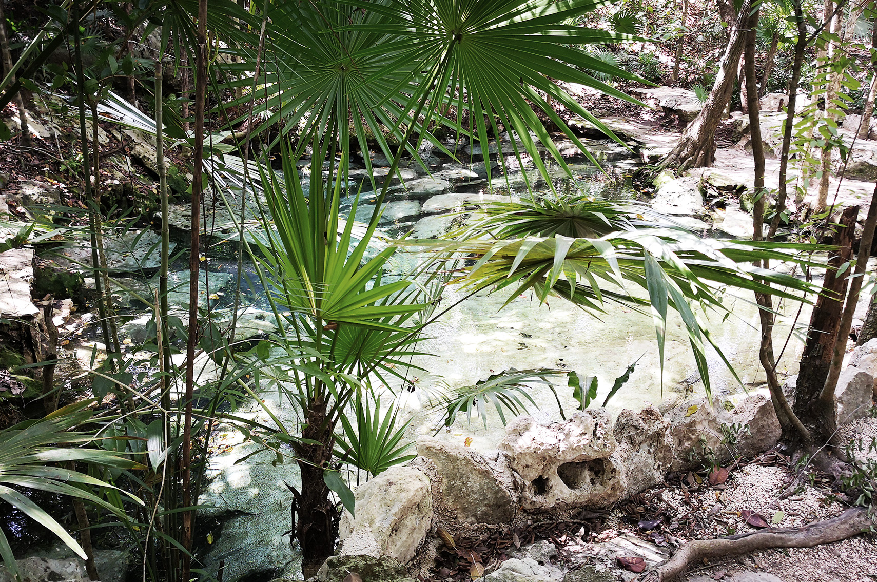 Voyage au Mexique conseils : cenote azul, tulum