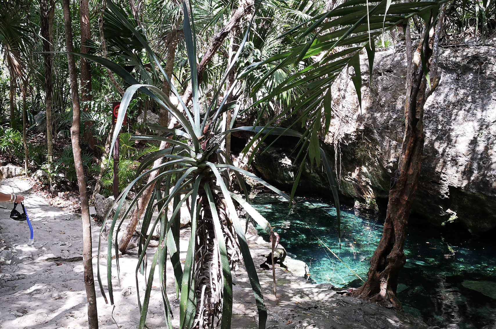 Voyage au Mexique conseils : cenote dos ojos