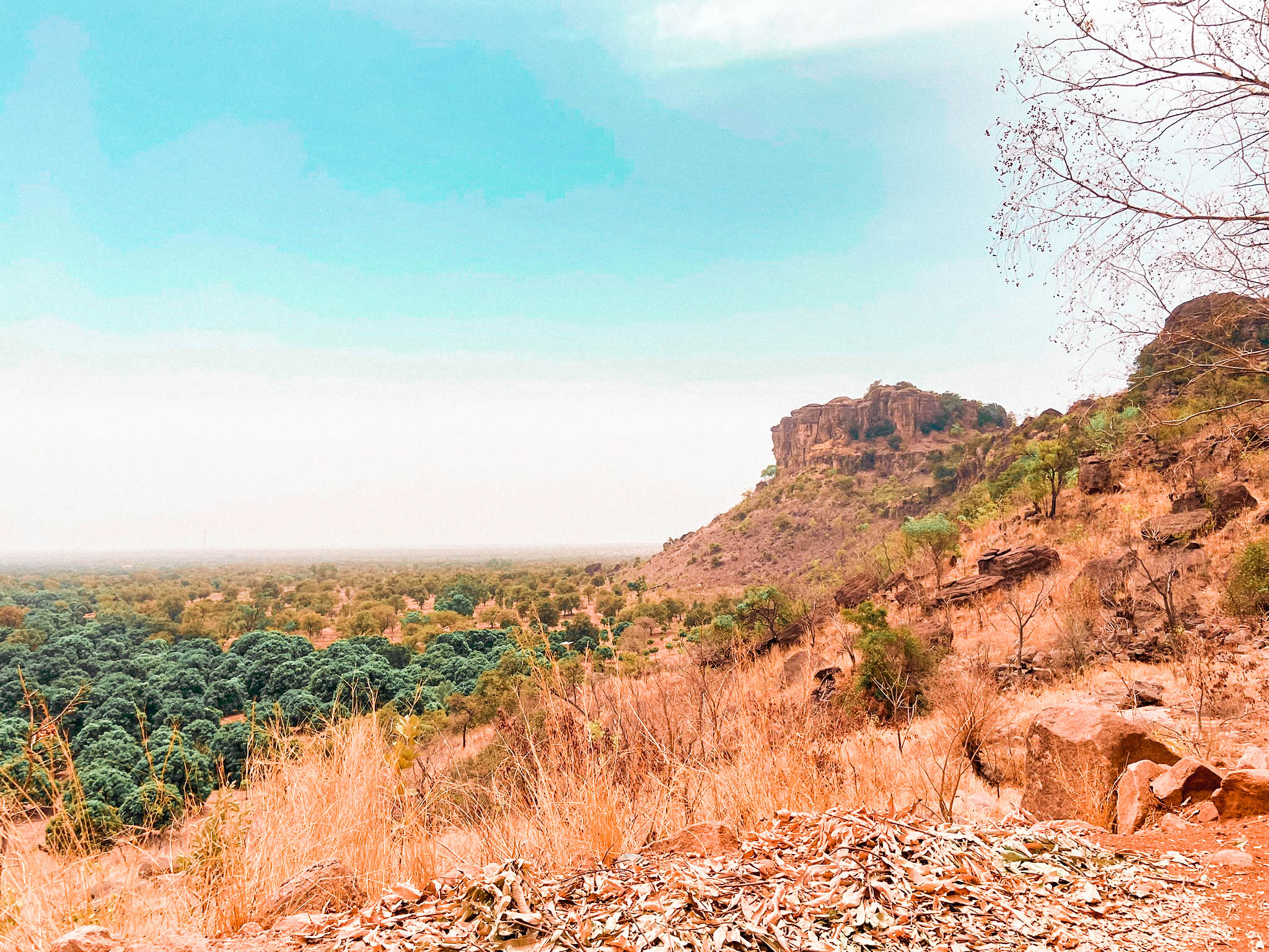 Vue sur forêt mandingue, Arche de kamandjan, Siby, Mali - Visiter les alentours de Bamako, visiter l'Afrique